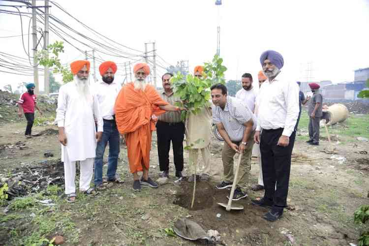 MP Seechewal plants 550 saplings around 'Buddha Dariya'; urge residents to step forward for encouraging greenery  