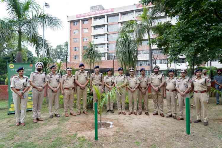 Punjab Police launches plantation drive to welcome monsoons, DGP Punjab plants ‘Bottle Palm’ sapling at PPHQ