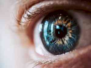 New biomarkers reveal if glaucoma patients are at high risk of losing eyesight