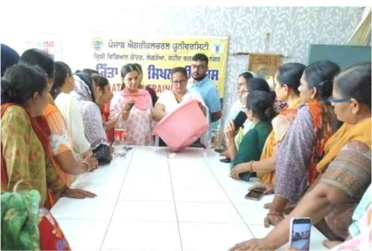 PAU-KVK Shaheed Bhagat Singh Nagar organizes vocational training