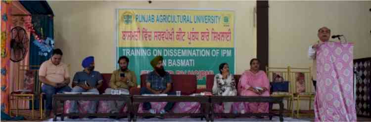 PAU-KVK Gurdaspur conducts comprehensive IPM Training for Basmati Farmers