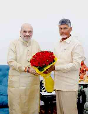 Centre, Andhra Pradesh will devise recovery plan: Chandrababu Naidu