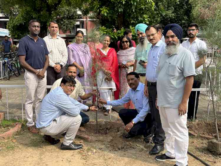 Tree Plantation Drive marks the celebrations of ‘Vanmahotsav’ at BH-3 & BH-2, PU