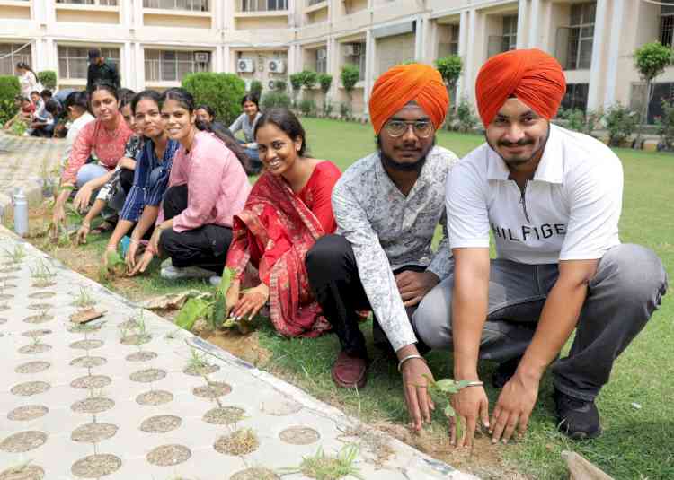 New students participate in mass plantation drive at CT Group