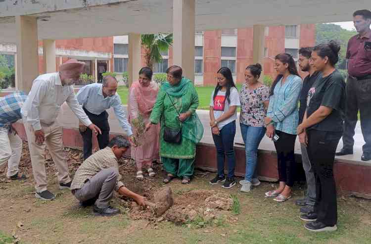 Department of Statistics, PU organized Tree Plantation Drive 