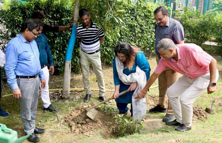 Sharda University Conducts Tree Plantation Drive, Plants 500 Saplings