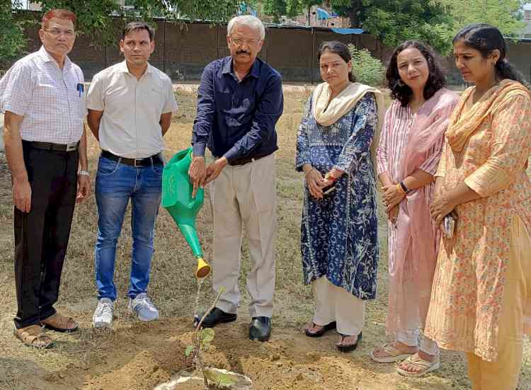 गौड़ कॉलेज में पौधरोपण आयोजित