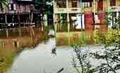113 schools closed in Myanmar due to severe flooding