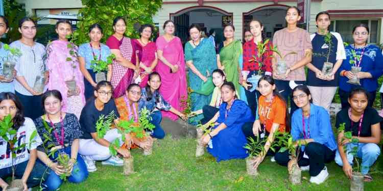 KMV organises mass tree plantation drive 