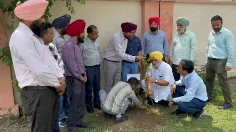 PSPCL's Border Zone Launches Massive Tree Planting Campaign