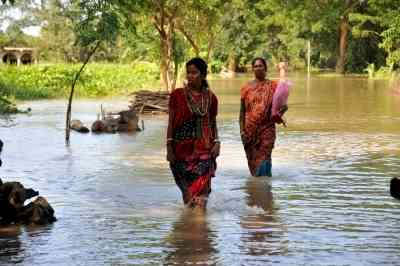 Bengal government blames DVC for flood-like situation in state