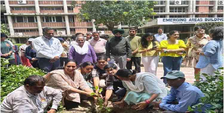 All Departments of Emerging Area Building, PU in collaboration with Horticulture Wing of PU organized Tree Plantation Drive