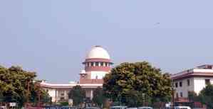 SC junks PIL seeking direction to freeze election symbol resembling  human body parts