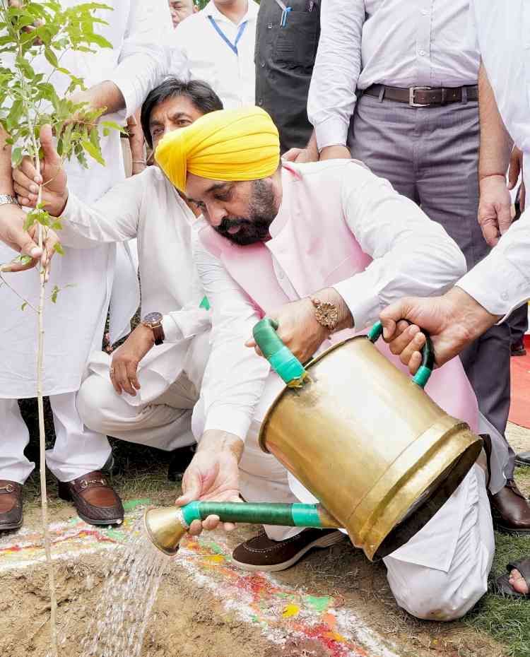 CM exhorts people to transform plantation drive into a mass movement