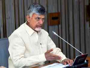 Andhra CM discusses YouTube Academy with Google leadership