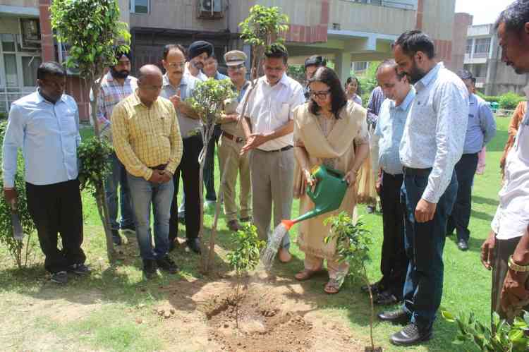 Significant plantation drive around Rajiv Gandhi College Bhawan, Panjab University