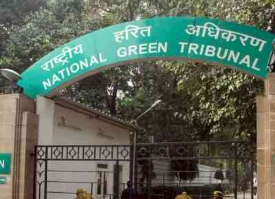 Kanwar Marg: NGT forms high-powered joint panel to ascertain environmental damage