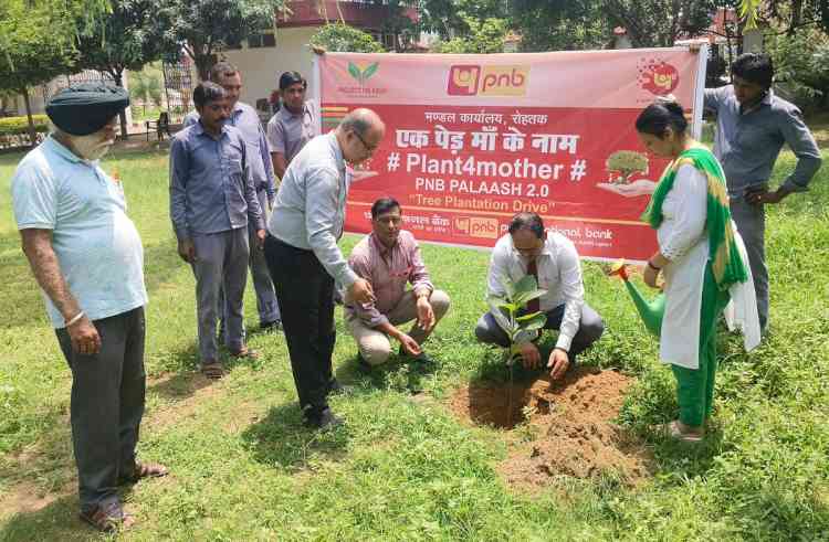 एसआईएचएम में वृक्षारोपण कार्यक्रम आयोजित