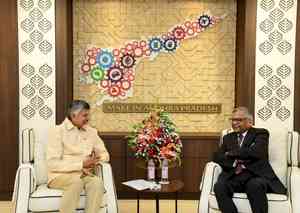 Andhra to constitute special task force on industrial development