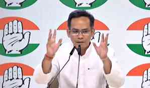 Politics does not mean buying tea gardens for family, Cong slams Assam CM