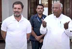 Rahul Gandhi, Kharge to arrive in Kashmir today, discuss Assembly poll strategy