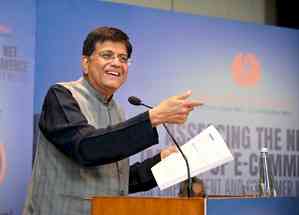 Piyush Goyal red flags predatory pricing by e-commerce giants 