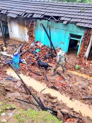 Banks should have compassionate outlook in situations like Wayanad landslide, says Kerala HC