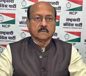 NCP to go solo in J&K Assembly election, likely to contest 12 seats