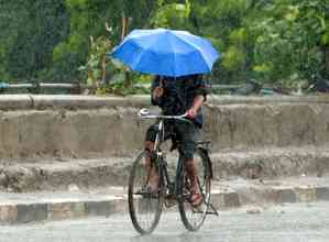 IMD forecasts widespread rain during next 7 days as monsoon stays on course