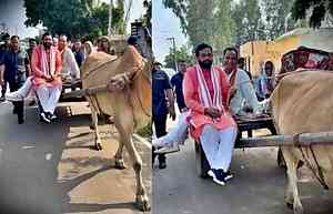 Haryana CM rides bullock cart to get connected at grassroots