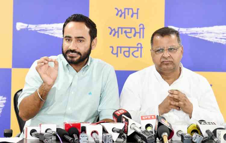 AAP government is successfully reviving Punjab's sports culture: MP Meet Hayer