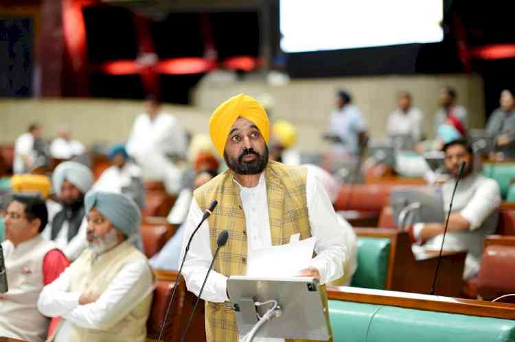 Major Relief To Crores Of Punjabis- Bhagwant Mann’s Big Bonanza For Common Man, NOC For Land Deeds Abolished