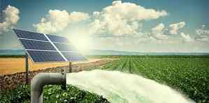 Maha: First solar park starts power generation for farmers 