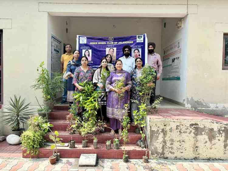 Under project IKHTIAAR, Inner Wheel Club of Jalandhar planted Ornamental Trees 