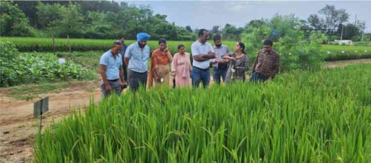 ICAR-Atari Zone 1 Director lauds PAU-KVK Pathankot's agricultural innovations 