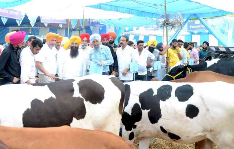 Gurmeet Singh Khuddian, Cabinet Minister inaugurates Pashu Palan Mela