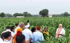 Cabinet okays Rs 35,000 cr PM-AASHA scheme extension to empower farmers