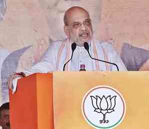 If NC & PDP succeed in Assembly polls, it will be success of Pakistan’s intentions in J&K : Amit Shah