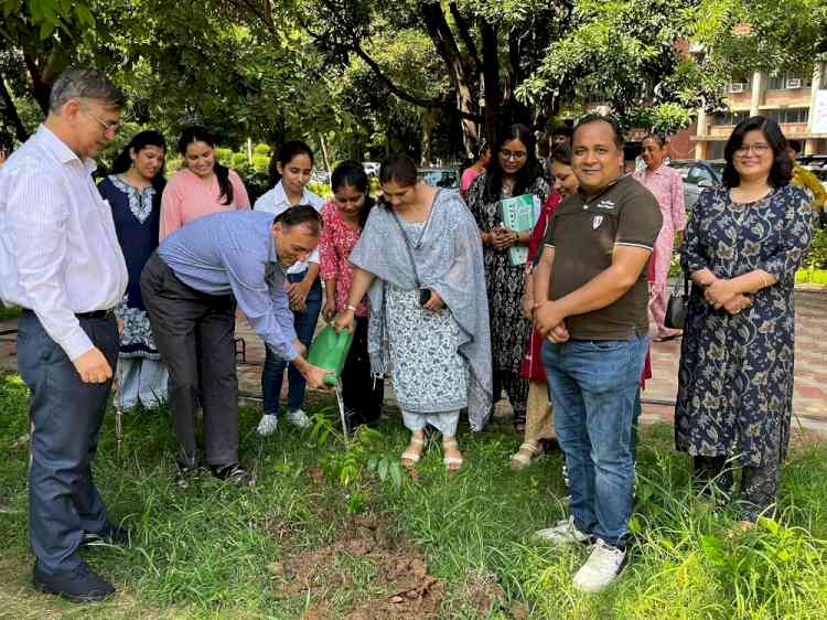 Swacch Bharat Abhiyaan of Panjab University organised tree plantation drive 