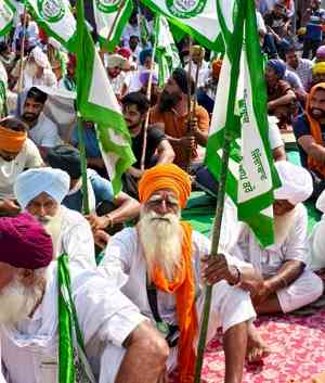 Punjab, farmers' representatives reach consensus on demands