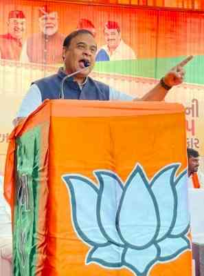 BJP will win in Haryana where I campaigned, claims Assam CM