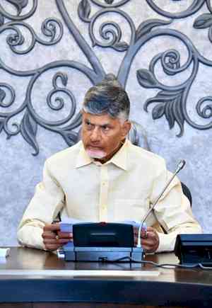 Ratan Tata Innovation Hub to come up in Amaravati: Chandrababu Naidu