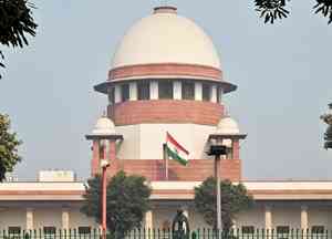 SC refuses to halt Punjab gram panchayat polls