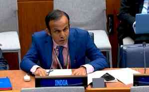 Islamabad disappointed to see real democracy in Kashmir: India