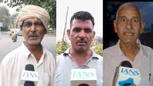 Haryana farmers express gratitude after govt hikes MSP on Rabi crops