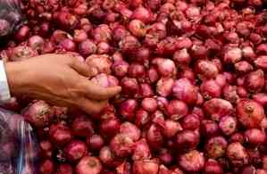 Onion prices likely to dip in Delhi as 'Kanda Express' on way