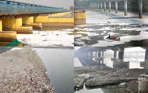 Delhi L-G posts pictures of polluted Yamuna, calls for action