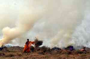 Stubble burning: Haryana suspends 24 officials for laxity, 6 farmers booked