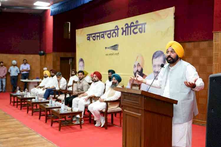 We will win all four seats, people are with the AAP: Bhagwant Mann