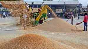 38.41 lakh metric tons paddy arrived in Punjab markets: Minister